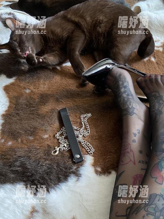 卡通百科老王 微密圈 - 合集:卡通百科老王你有多可爱,过程大于结果,反正我只是过来追星